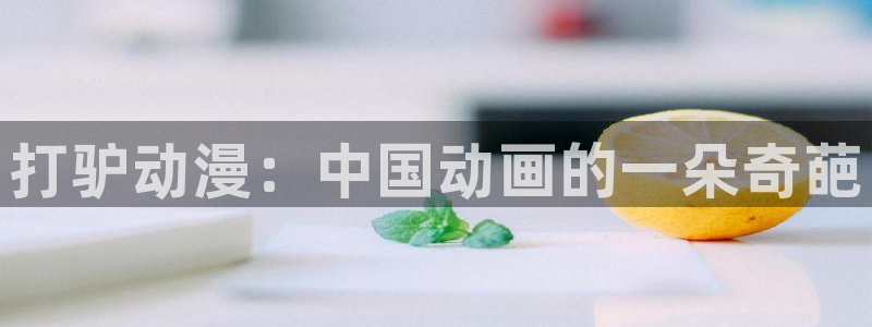 妹天堂动漫：打驴动漫：中国动画的一朵奇葩
