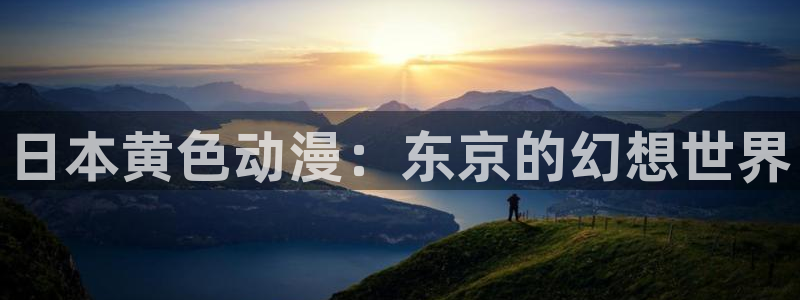 巴比伦动漫天堂：日本黄色动漫：东京的幻想世界