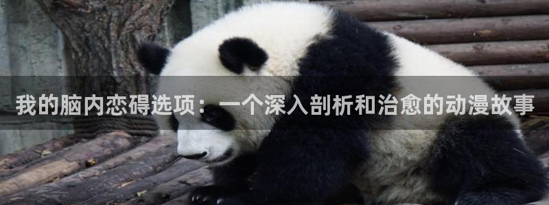 下载天堂动漫：我的脑内恋碍选项：一个深入剖析和治愈的动漫故事
