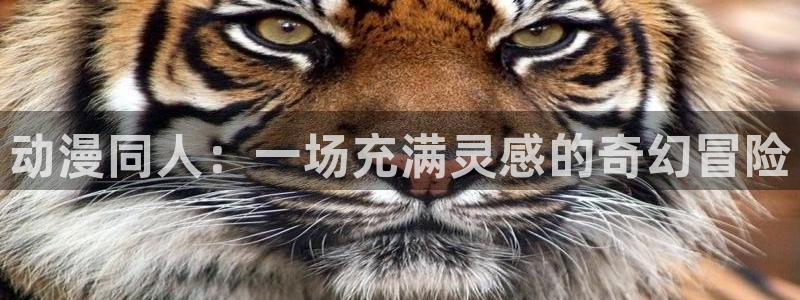 动漫天堂kda：动漫同人：一场充满灵感的奇幻冒险