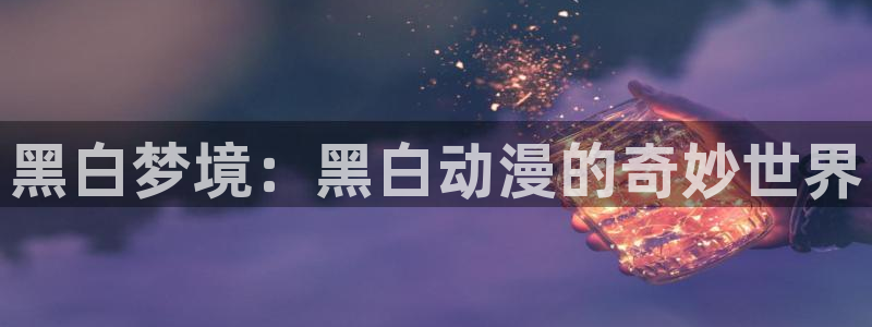 天堂动漫网站免费入口：黑白梦境：黑白动漫的奇妙世界