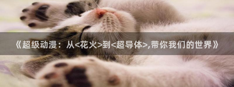 动漫天堂软件：《超级动漫：从<花火>到<超导体>,带你我们的世界》